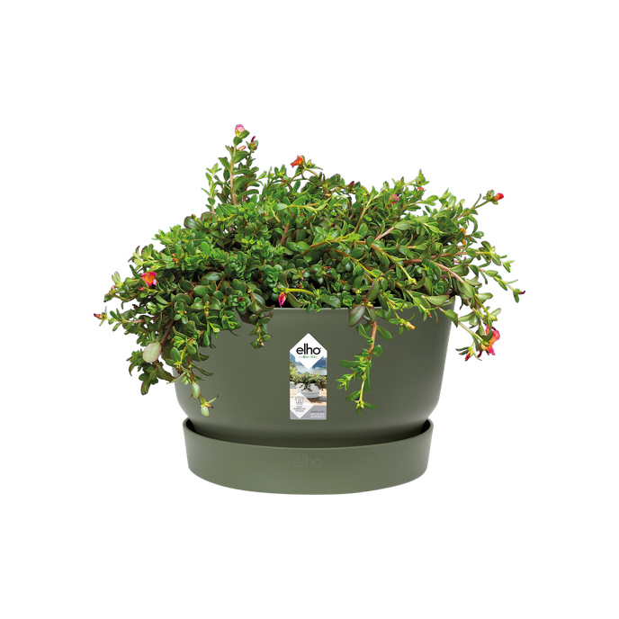 greenville schale 33cm laubgrün